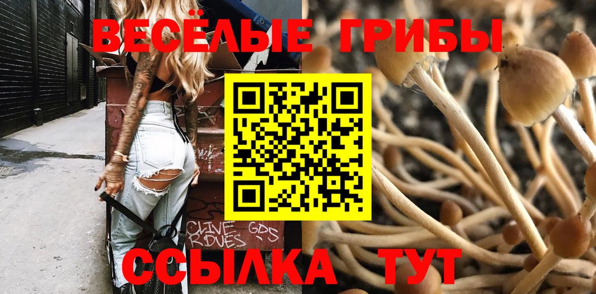 Псилоцибиновые грибы ЛСД  Вход с VPN  Зима  Галлюциногенные грибы Magic Shrooms 
