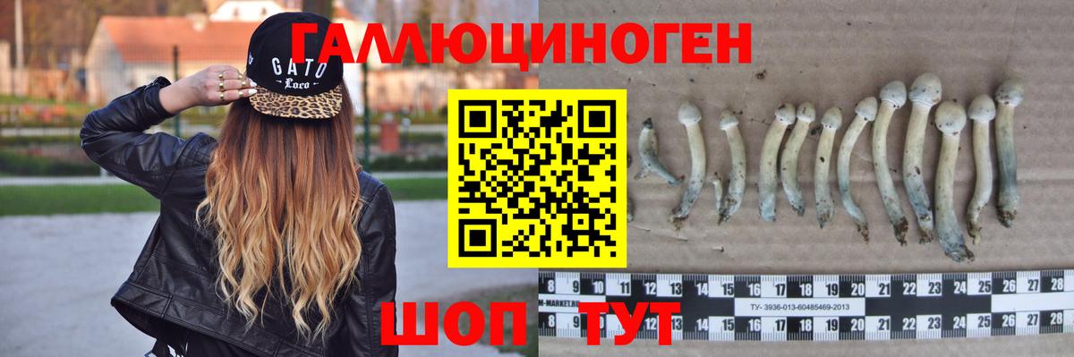 Псилоцибиновые грибы мицелий Зима